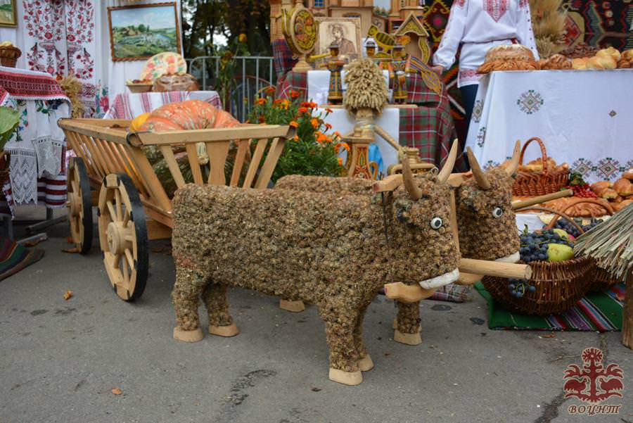 Обласний фестиваль «Свято урожаю»